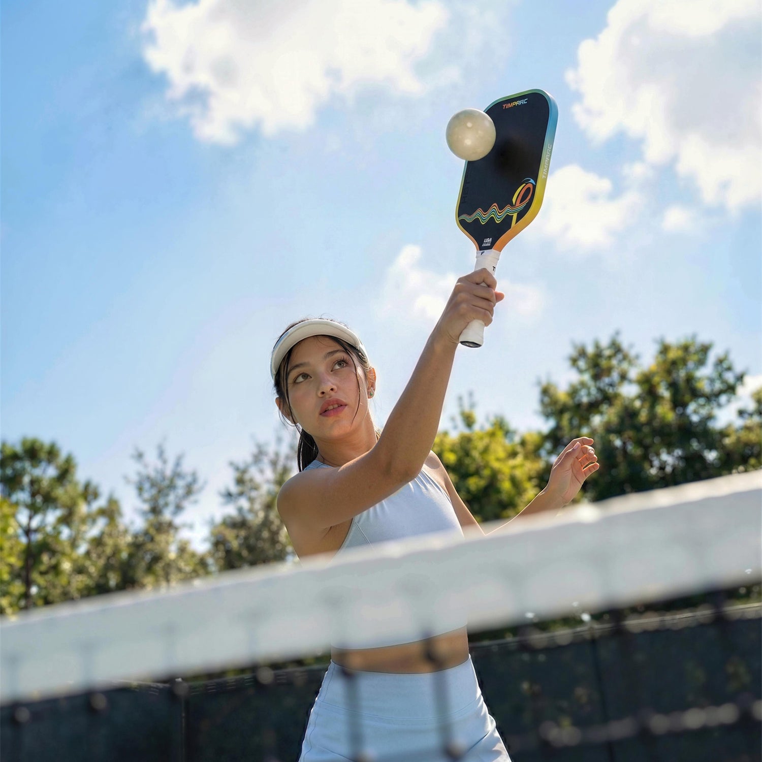 Hummingbird Series T800 Carbon Fiber Pickleball Paddle Set，16MM GEN4 Core Pickleball Racket